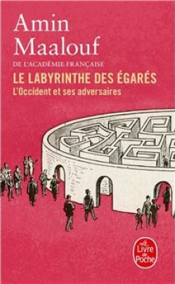 Couverture de Le labyrinthe des égarés
